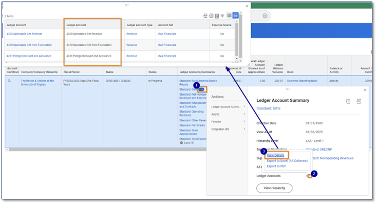 Find Full List of Ledger Accounts in Account Certification